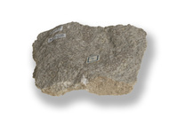 M 02916
<br/>
<br/>
<em></em>